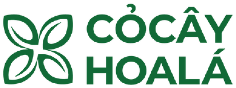 Cỏ Cây Hoa Lá